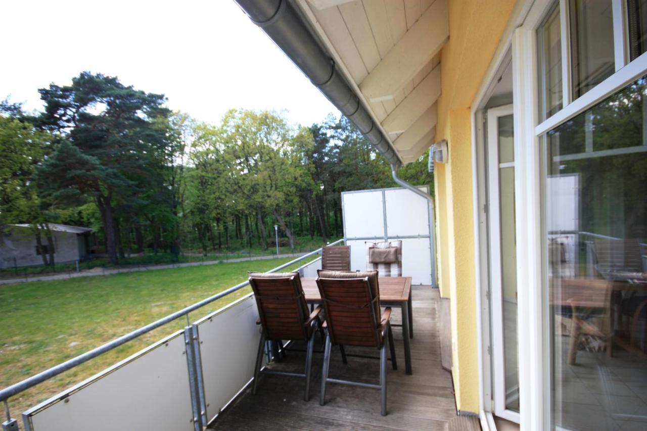 Seevogel Koserow