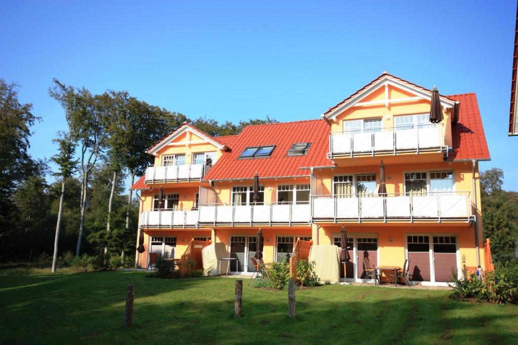Seevogel Koserow
