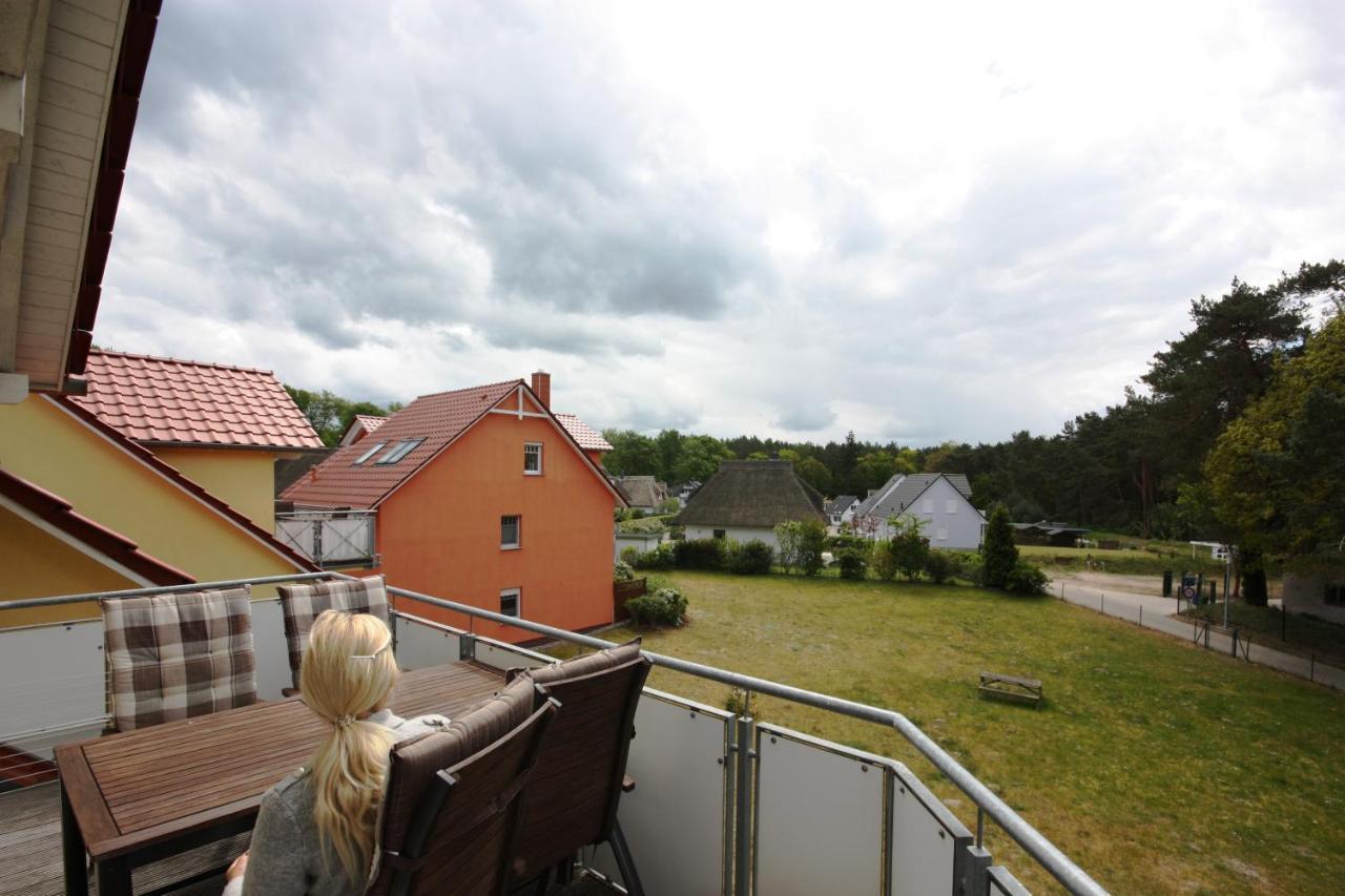 Seevogel Koserow