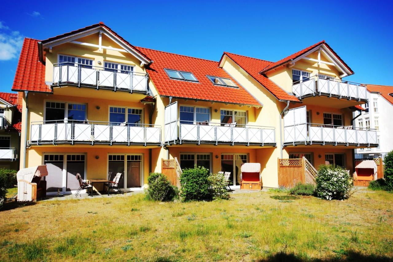 Seevogel * Koserow