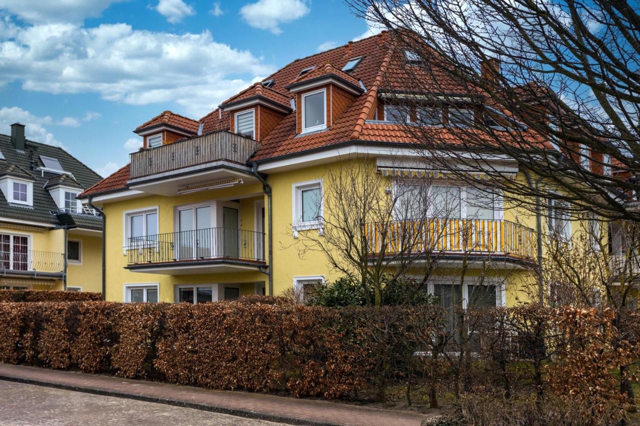 Seevogel Koserow