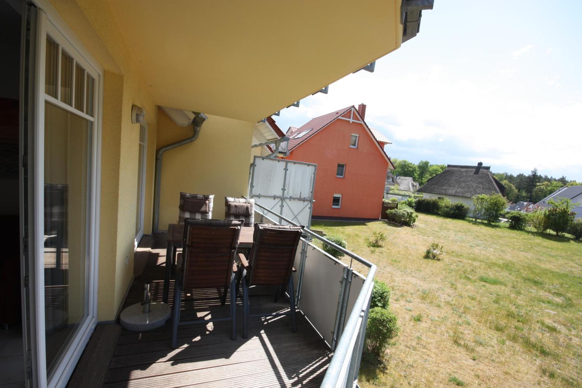 Seevogel * Koserow