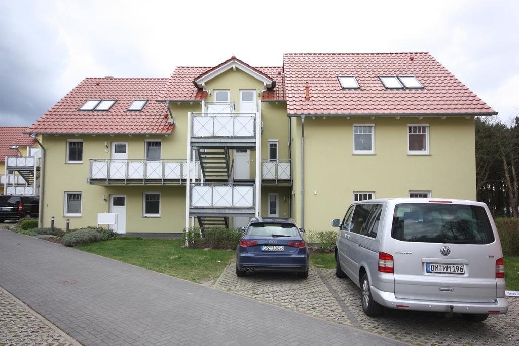 Seevogel * Koserow